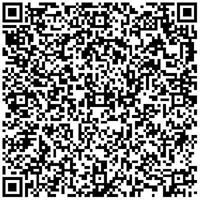 NaturalMind.Group Buggy - electric car Service chat bot