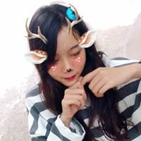 Hảo chat bot