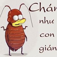 Tớ là Tiểu Cường chat bot