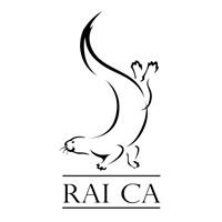 RAICA - Đồ Da Cao Cấp 100% Da Thật chat bot