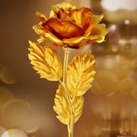 Hoa hồng mạ vàng 2016 chat bot