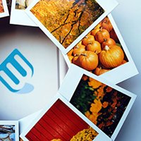 Khách Sạn Phú Quốc chat bot