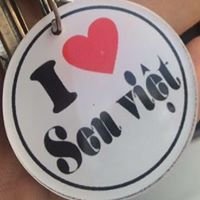Cafe Sen Việt - Mỹ Tho chat bot