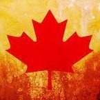Cổng thông tin Du học Canada chat bot