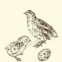 Trại Chim Cút Trung Kiên chat bot