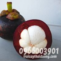Măng Cụt Long Khánh chat bot