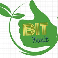 Bit Fruit chat bot