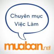 Vieclam.net - Việc làm chat bot