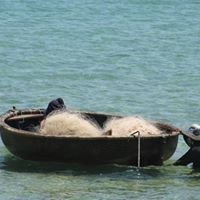Dung Quất chat bot