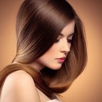 Hair Trần Toản chat bot