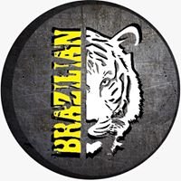 Equipe Brazilian Tiger chat bot