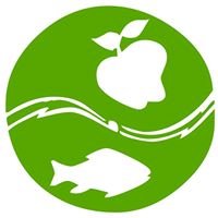 Nông nghiệp sạch bmt chat bot