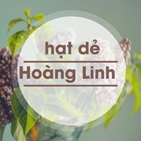 Hạt dẻ Hoàng Linh chat bot